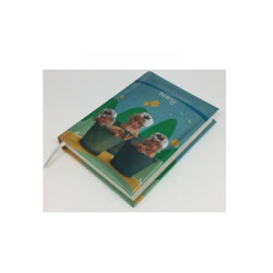 Diario anne geddes...