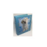 Raccoglitore anelli cm.15x21 d.3 0 rachael hale shape