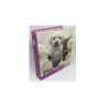 Raccoglitore anelli cm.15x21 d.2 5 hello kitty b&w