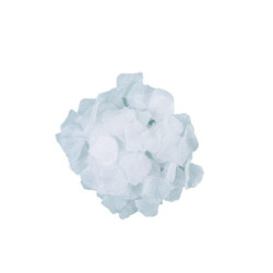 Big party petali bianchi...