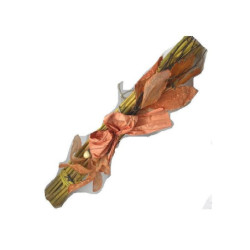 Fuoriporta cannucce...