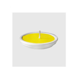 La nature citronella in...