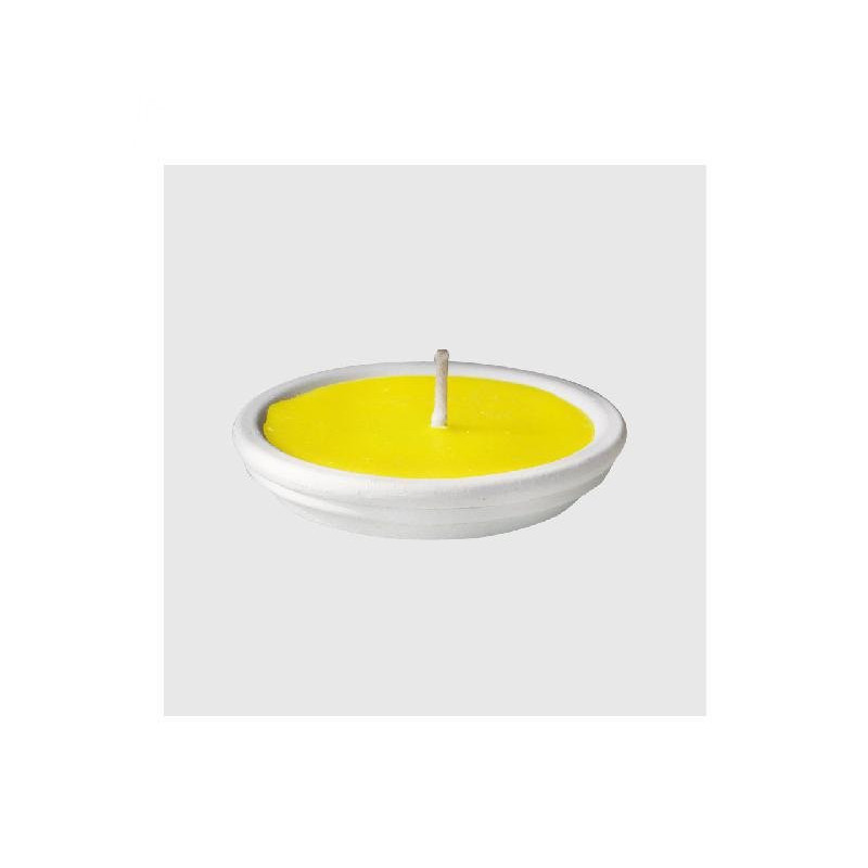 La nature citronella in gesso bi anco d. 11 art.fia04619a