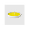La nature citronella in gesso bi anco d. 11 art.fia04619a
