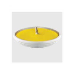 La nature citronella in gesso bi anco d. 17 art.fia04620a