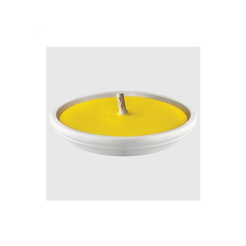 La nature citronella in gesso bi anco d. 17 art.fia04620a