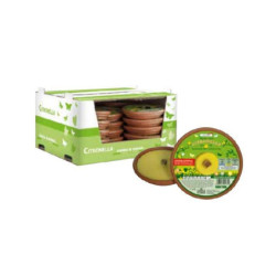 Di giorgio citronella in terracotta d.15,5 durata 3 ore art.4332dspn