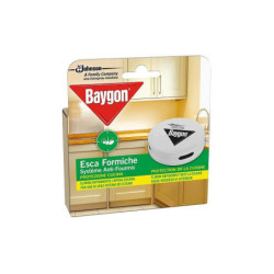 Baygon esca per formiche...