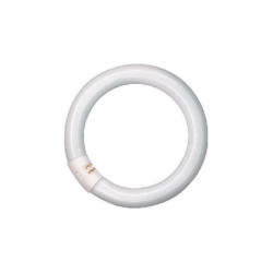 Lampadina circolina 22w 3f...