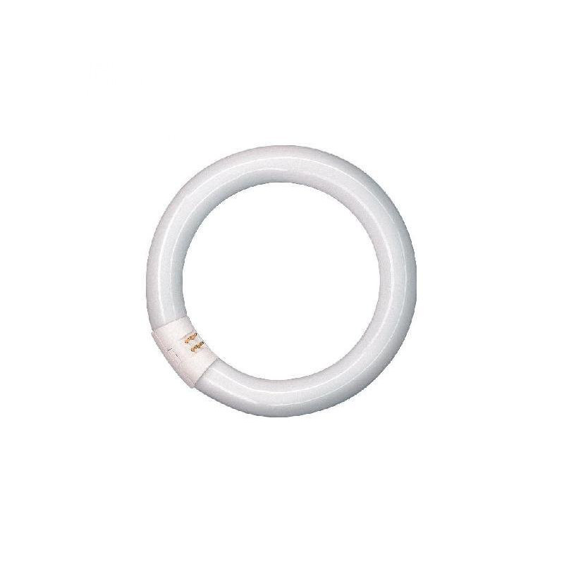 Lampadina circolina 22w 3f 6500k 1350lm