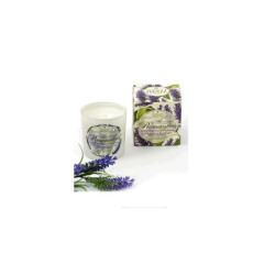 Nesti candela profumata gr.160 r omantica spigo toscano e verbena