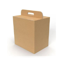 Scatola cartone manigliata...