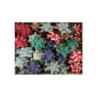 Coccarde mm.15 pz.50 art.31291 n atale assortite