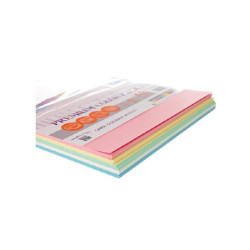 Carta nikoffice nikcolor cm.29,7 x42 gr.200 fg.100 mixtenue