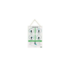 Cartello orario orologio art.4506
