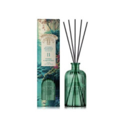 Compagnia delle indie...