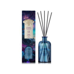 Compagnia delle indie...