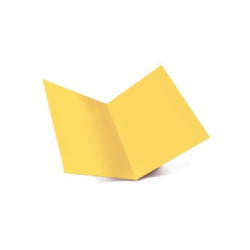 Cartella bristol gr.200...