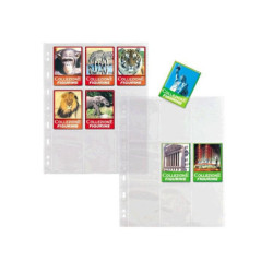 Busta pp cm.21x29,7...