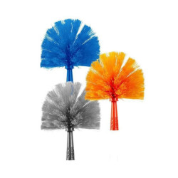 Brilla  ragnatore a palla...