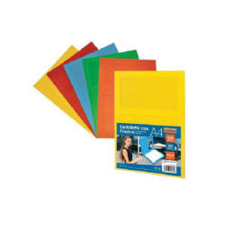 Cartella cartoncino...