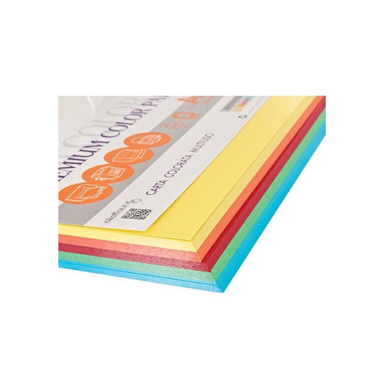 Carta nikoffice nikcolor cm.21x2 9,7 gr.160 fg.125 mixforte
