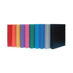 Raccoglitore 4 anelli...