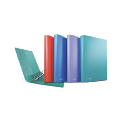 Raccoglitore cm.22x30 4...