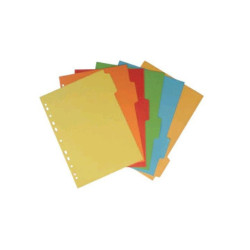 Separatore cm.21x29,7 carta...