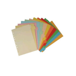 Separatore cm.21x29,7 carta...