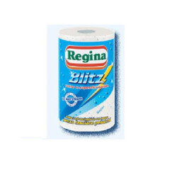 Regina asciugatutto 100...
