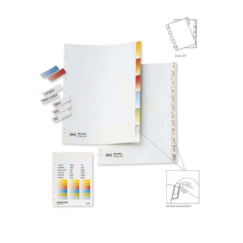 Separatore cm.21x29,7 pvc record 6 tasti