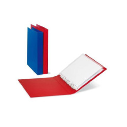 Raccoglitore cm.22x30 4...