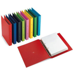 Raccoglitore cm.22x30 2...