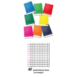 Quaderno maxi pigna color...