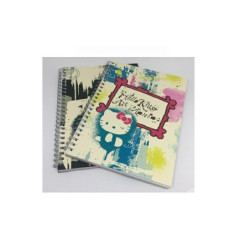 Quaderno hello kitty...