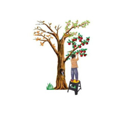 Albero cwr le 4 stagioni in...